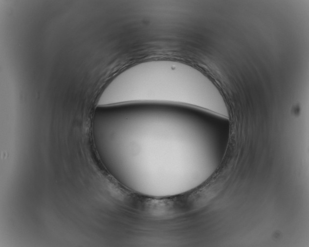 X0000091450277200708161053
