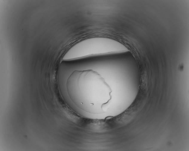X0000091450278200708161053