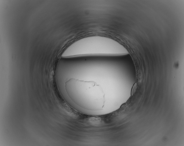 X0000091450279200708161053