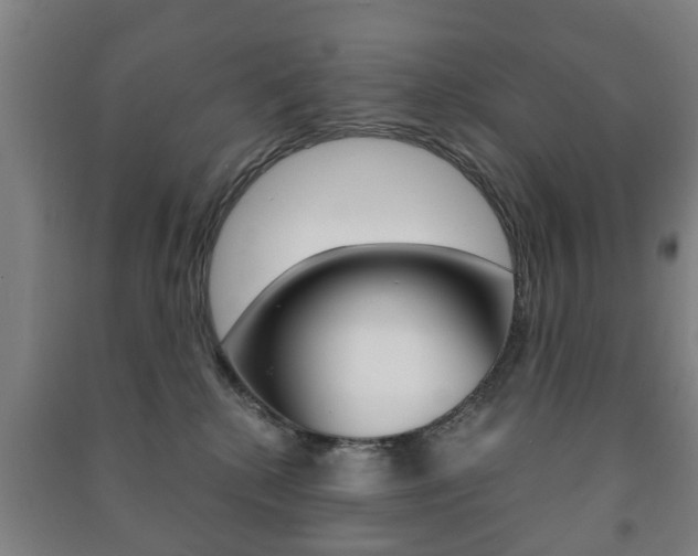 X0000091450280200708161053
