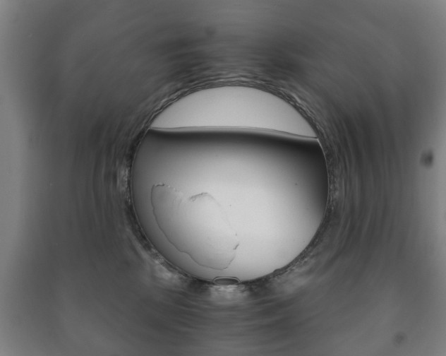 X0000091450281200708161053