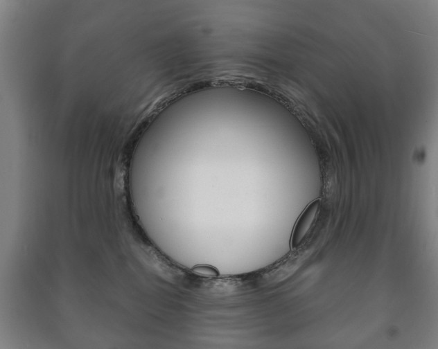 X0000091450282200708161053