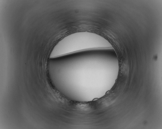 X0000091450283200708161053