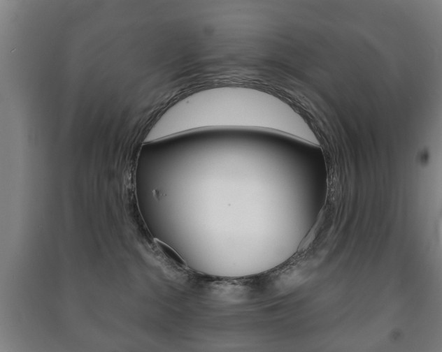 X0000091450284200708161053