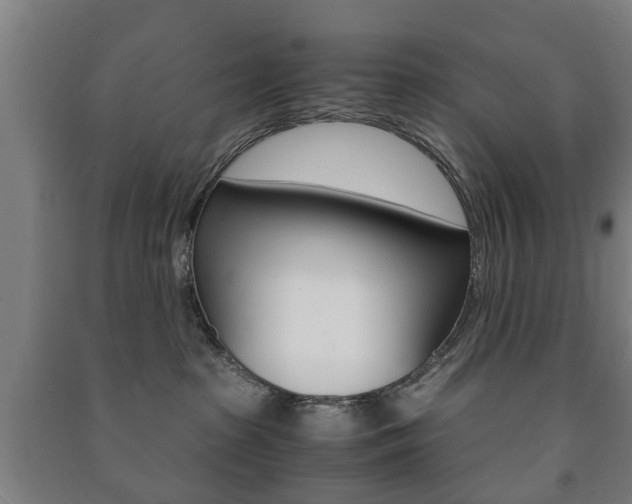 X0000091450285200708161053