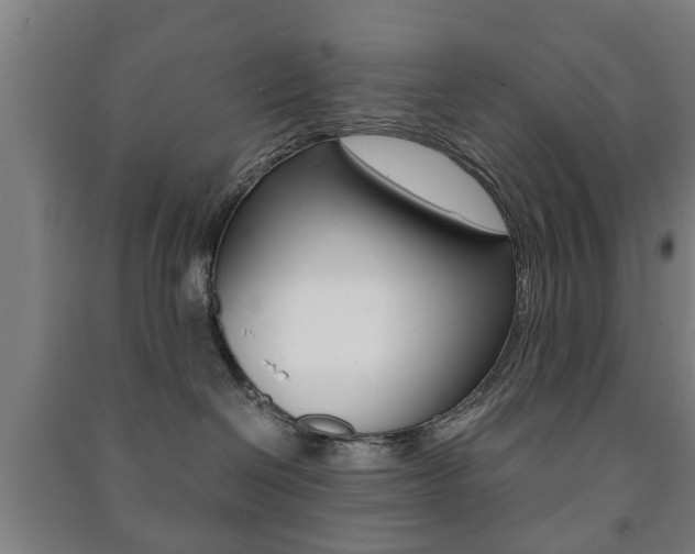X0000091450286200708161053