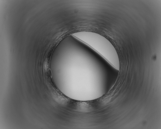 X0000091450287200708161053