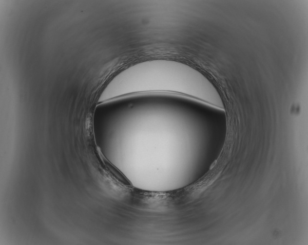 X0000091450288200708161053