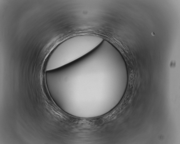 X0000091450290200708161053