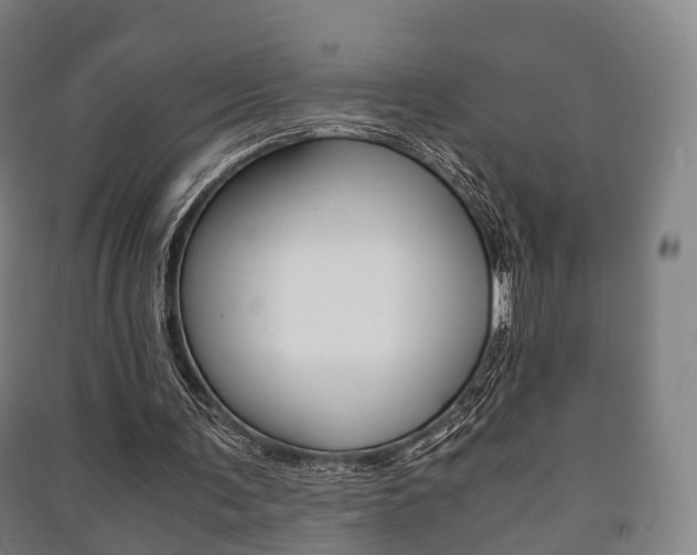 X0000091450291200708161053