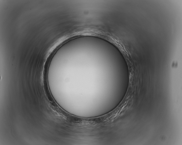 X0000091450292200708161053