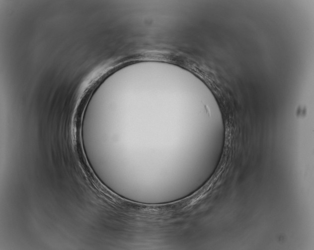 X0000091450294200708161053