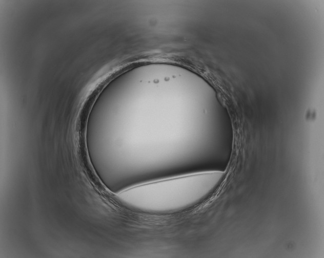 X0000091450295200708161053