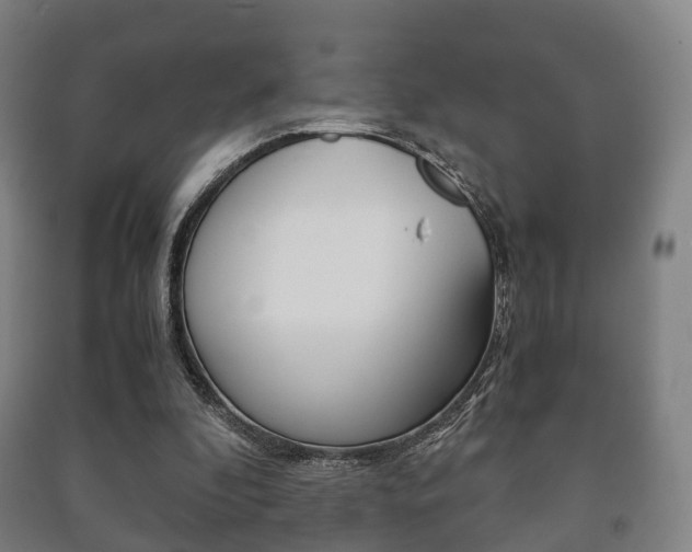 X0000091450296200708161053