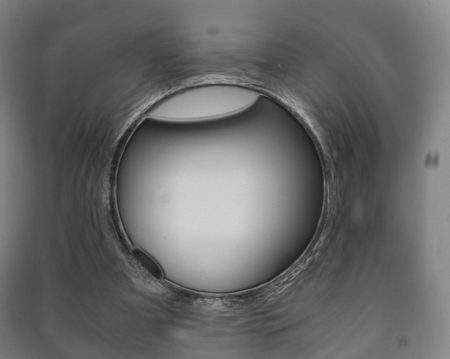 X0000091450297200708161053