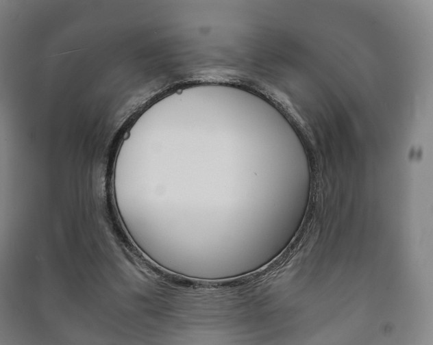 X0000091450299200708161052