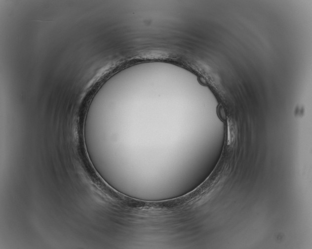 X0000091450300200708161052