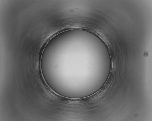 X0000091450301200708161052