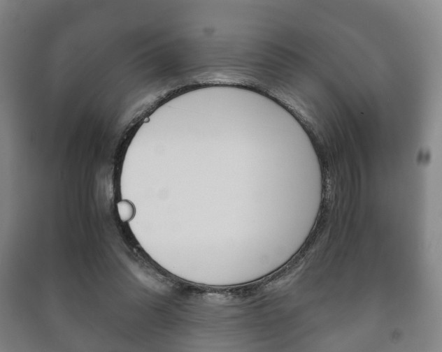 X0000091450302200708161052