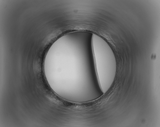 X0000091450303200708161052