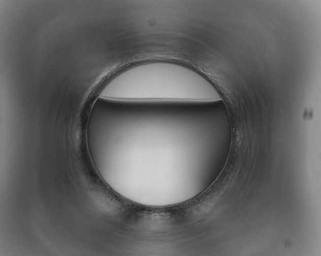 X0000091450304200708161052
