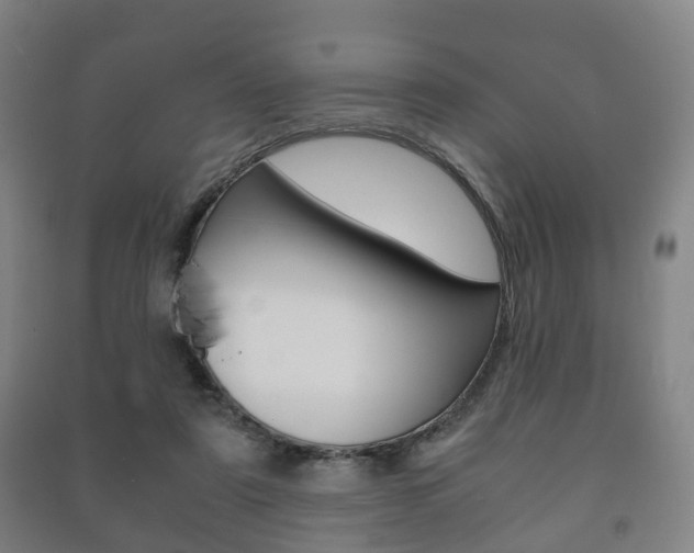 X0000091450307200708161052