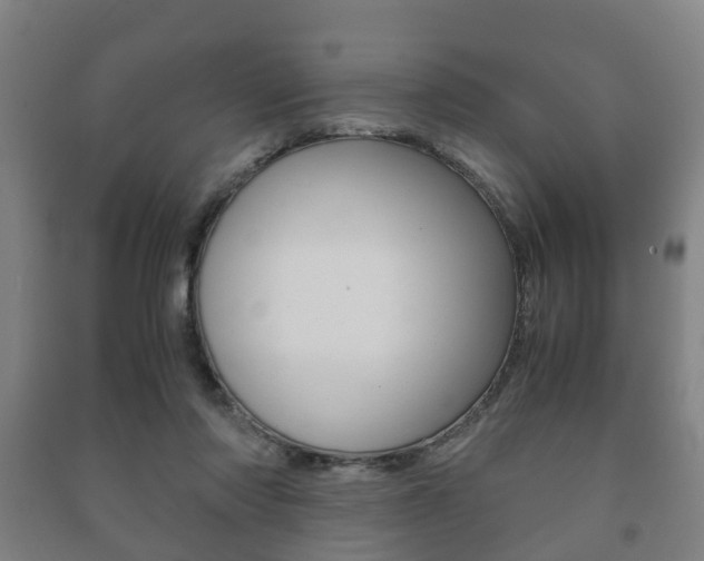 X0000091450310200708161052