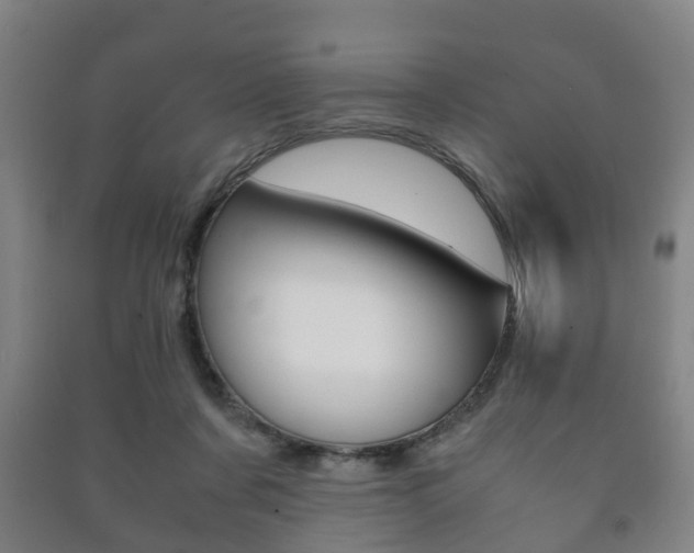 X0000091450311200708161052