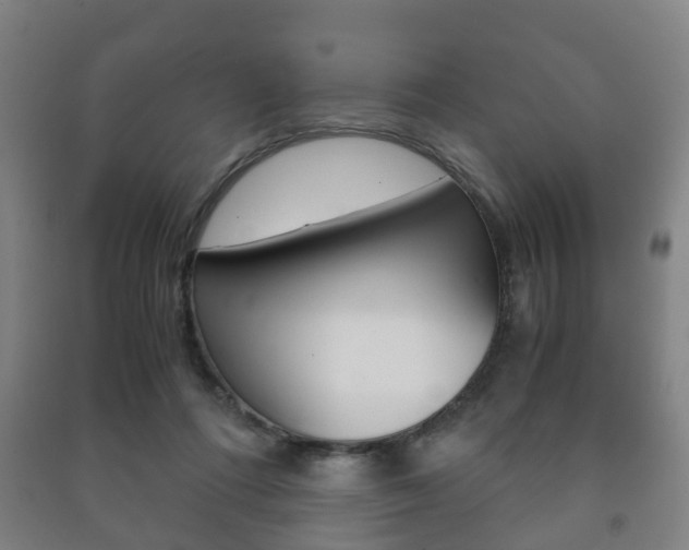 X0000091450312200708161052