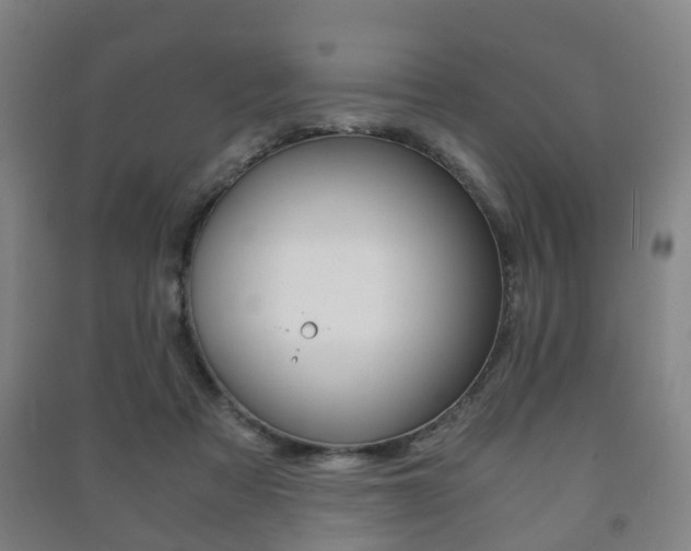 X0000091450313200708161052