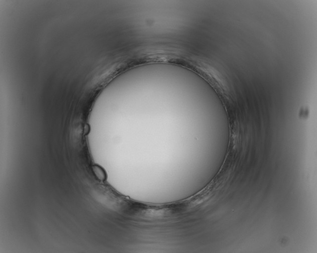 X0000091450314200708161052