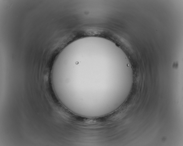 X0000091450315200708161052