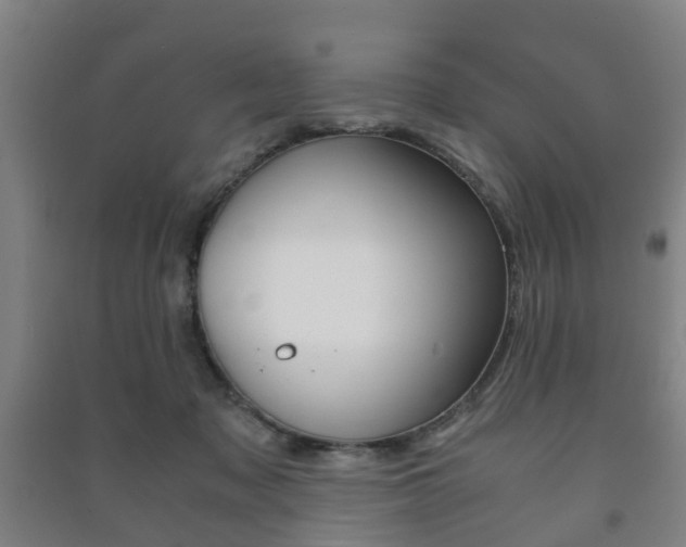 X0000091450317200708161052