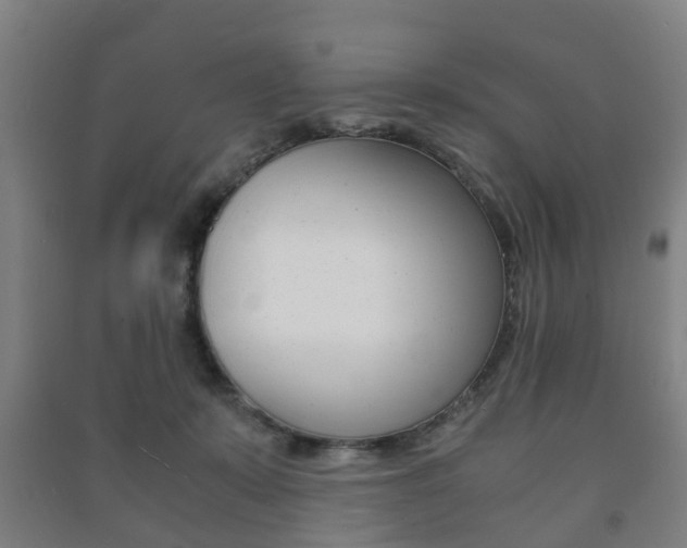 X0000091450319200708161052