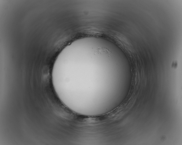X0000091450320200708161052