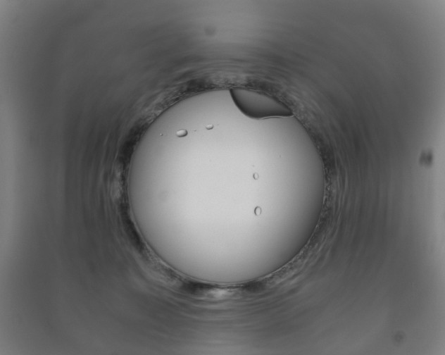 X0000091450323200708161052