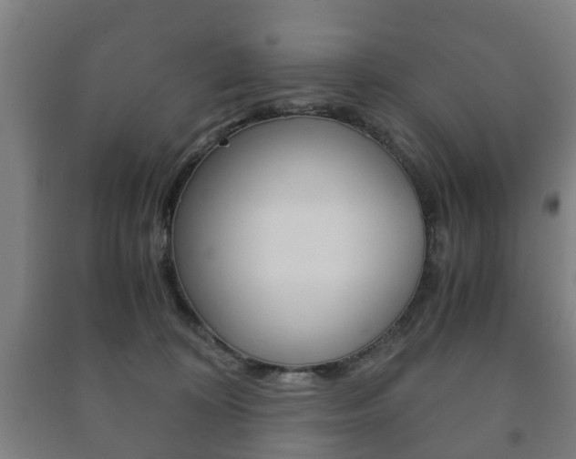 X0000091450324200708161052
