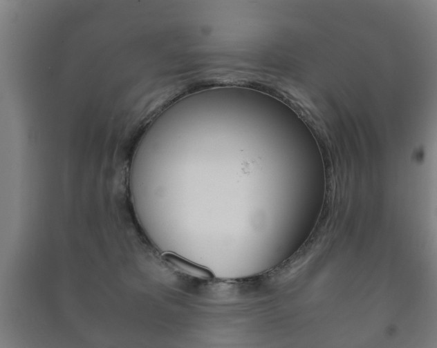 X0000091450325200708161052