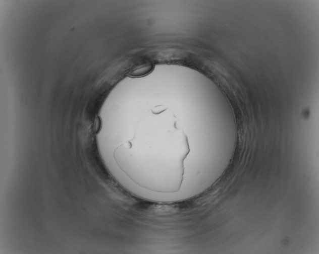 X0000091450327200708161052