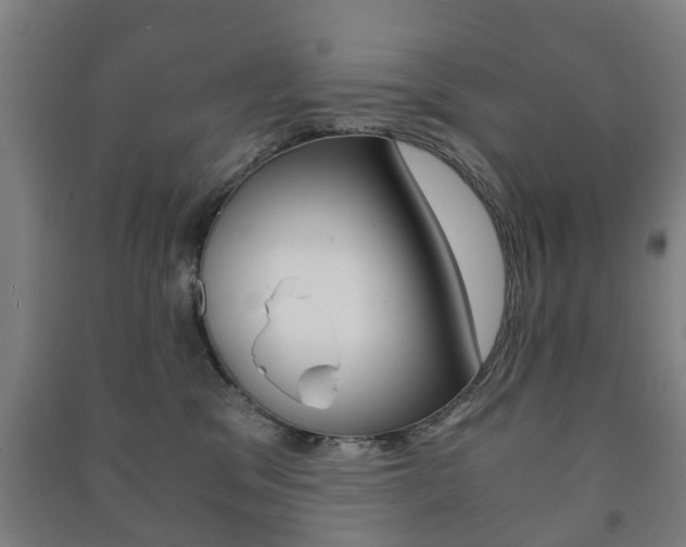 X0000091450329200708161052