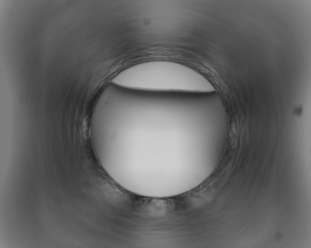 X0000091450330200708161052