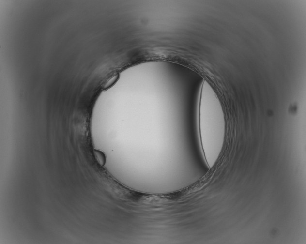 X0000091450331200708161052