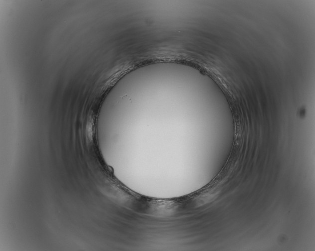 X0000091450334200708161052