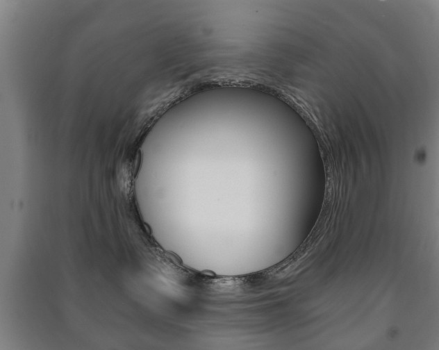 X0000091450335200708161052