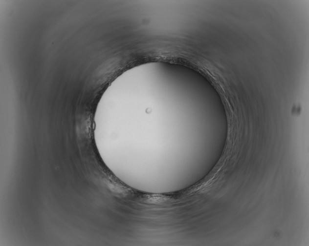 X0000091450336200708161052