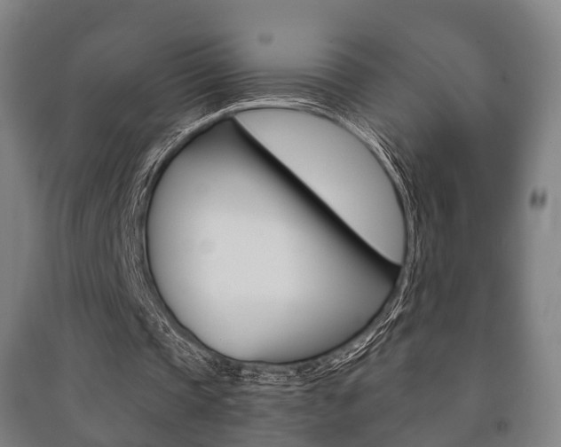 X0000091450337200708161051