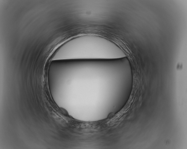 X0000091450338200708161051