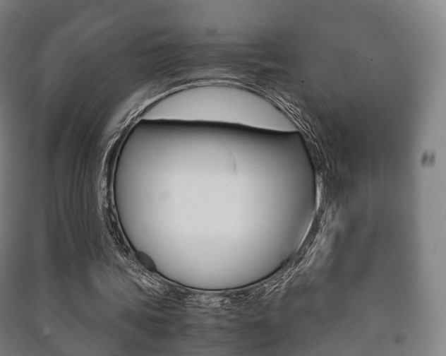 X0000091450339200708161051