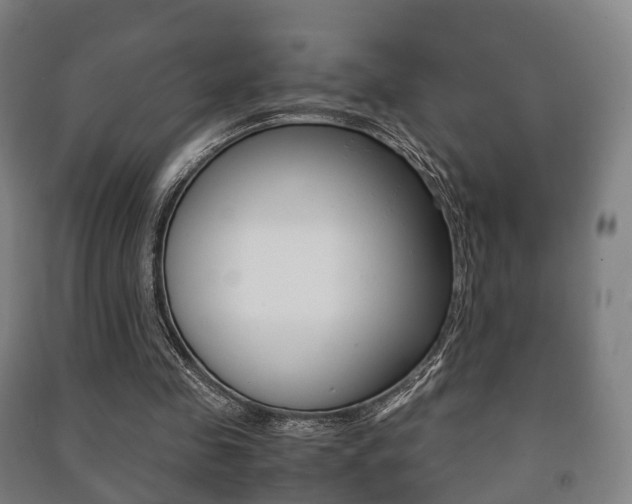 X0000091450341200708161051
