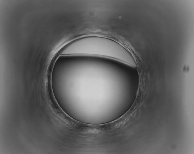 X0000091450344200708161052
